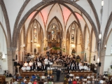 209 IMG 1999 Jubileum muziek 2015 DezeFoto : 2015, 50, 50-jaar, Deurningen, Feest, Harmonie, Kerk, concert, jubileum, muziek, plechelmus harmonie, slagwerkgroep